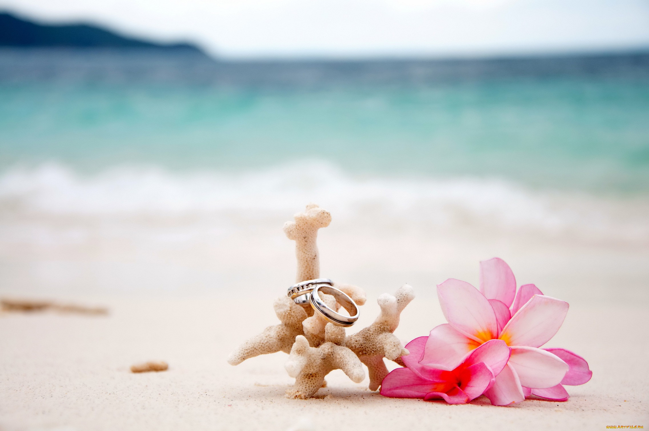 , ,  ,  , flowers, beach, sand, coral, plumeria, rings, wedding